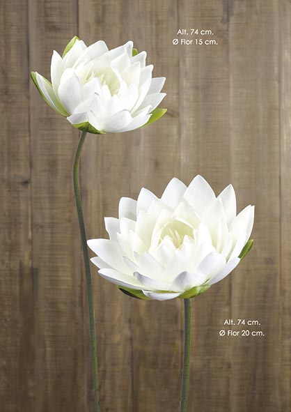 LOTUS FLOR. 74 cm. Ø 20 cm. Crema.