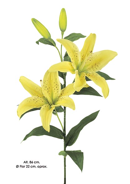 LILIUM x 2, 2 cap. 86 cm. Amarillo.