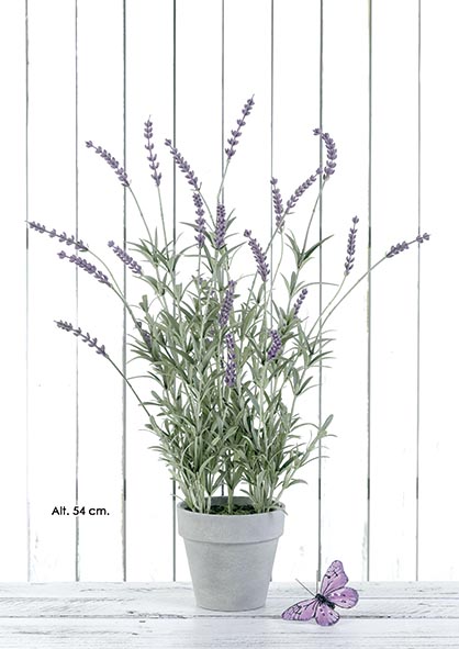 MACETA LAVANDA. 54 cm. Natural.