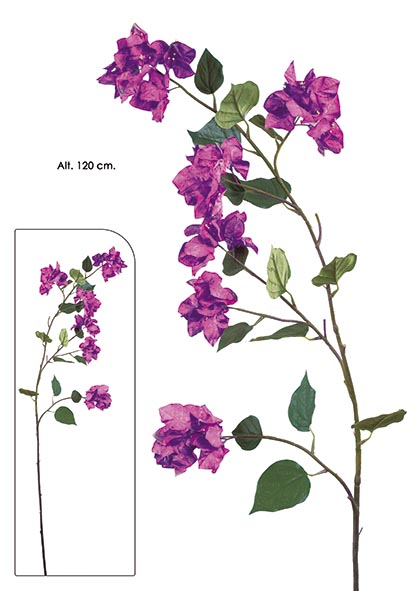 RAMA BOUGAINVILLEA. 120 cm. Fucsia.