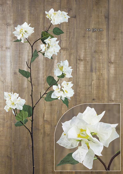 RAMA BOUGAINVILLEA. 120 cm. Crema.