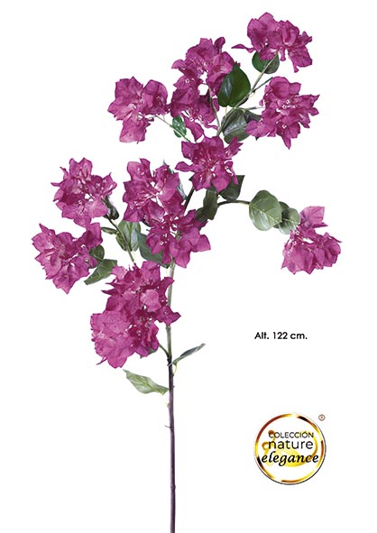 BOUGAINVILLEA. 122 cm. Fucsia.