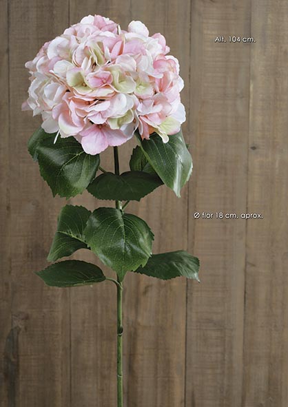 HORTENSIA x 1 - 10 h. 104 cm. Rosa.