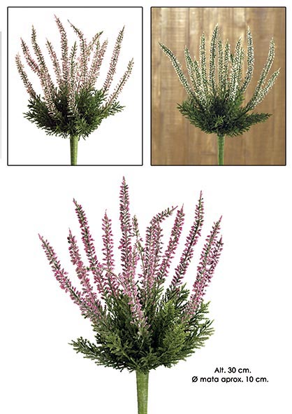 MATA ERICA. 30 cm. Rosa.