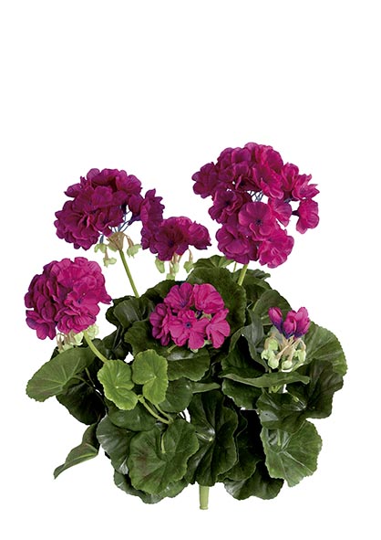 MATA GERANIUM. 39 cm. Cereza.