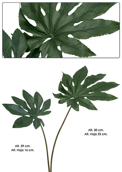 HOJA ARALIA. 50 cm. Verde