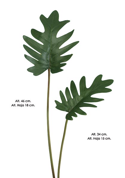 HOJA PHILO. 34 cm. Verde