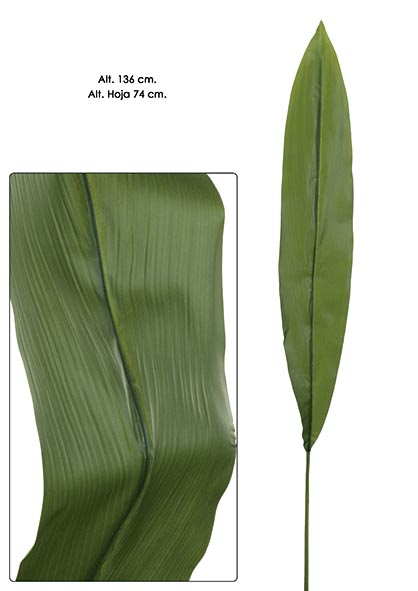 HOJA ASPIDISTRA. 136 cm. Verde