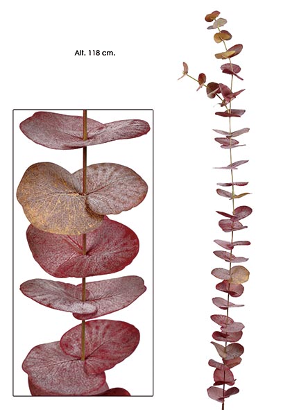 VARA EUCALYPTUS. 118 cm. Otoño.