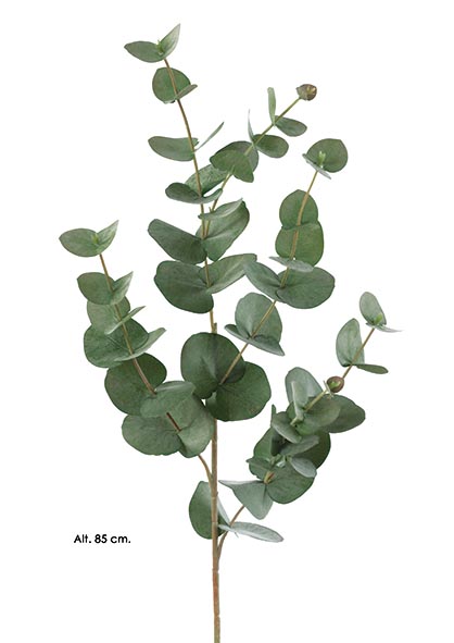 RAMA EUCALYPTUS x 6. 85 cm. Verde.