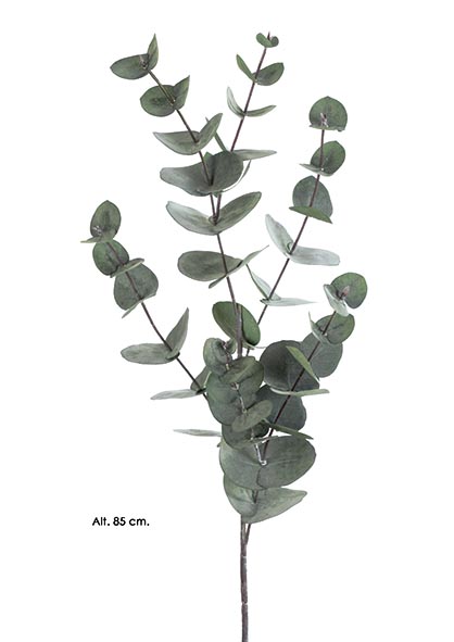 RAMA EUCALYPTUS x 6. 85 cm. Verde Oliva.