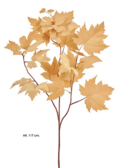 RAMA MAPLE. 117 cm. Apricot