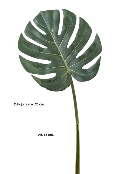 HOJA MONSTERA. 63 cm. Verde.