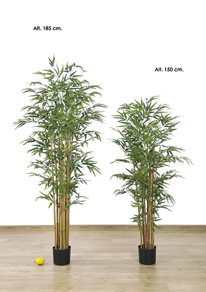 BAMBOO x 1200 h. 180 cm. Verde.