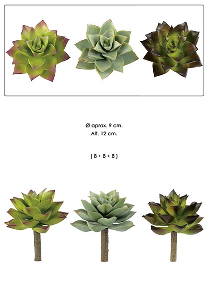 PICK SUCCULENT x 5. 29 cm. Verde.