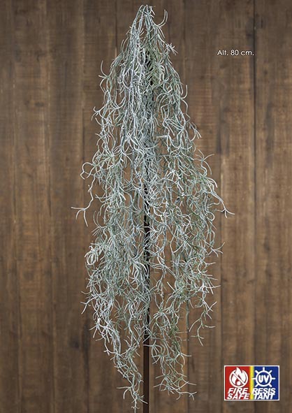 UV & FS COLG. TILLANDSIA. 80 cm. Verde