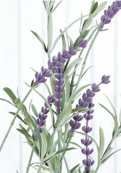 BUSH LAVANDA. 69 cm. Natural.