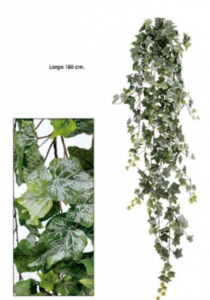 COLG. HIEDRA x 370 h. 180 cm. Verde-gris