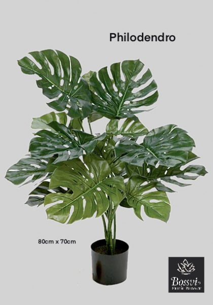 MONSTERA x 15 hojas. 85 cm. Verde.