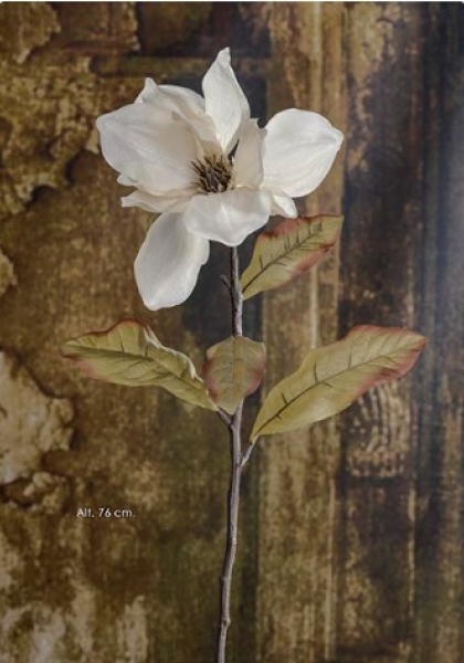 MAGNOLIA. 76 cm. Beig