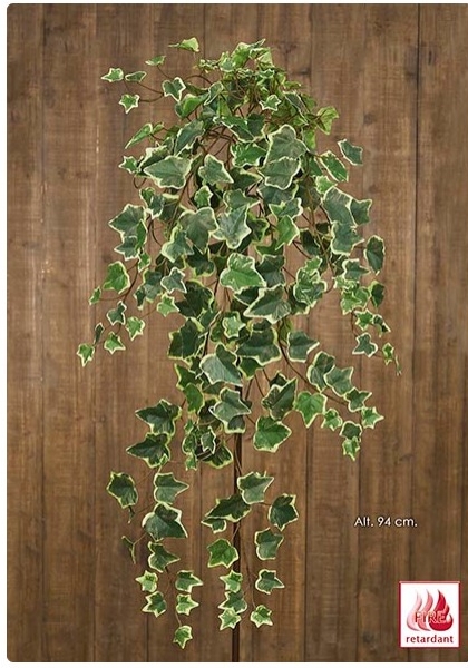 FR. COLGANTE HIEDRA x 216h. 94 cm.