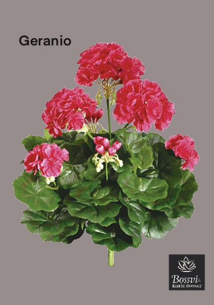 MATA GERANIUM. 39 cm. Rojo.