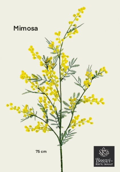 MIMOSA. 75 cm. Amarillo.