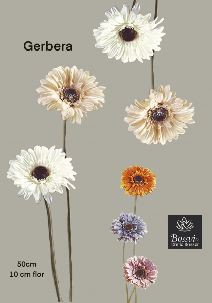 GERBERA, 61 cm. Crema.