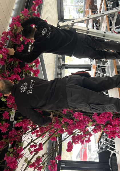 RAMA BOUGAINVILLEA. 120 cm. Fucsia.