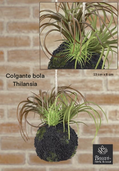 COLGANTE BOLA TILLANDSIAS. 13 cm.