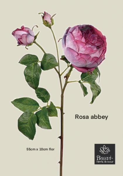 ENGLISH ROSE. 54 cm. Cereza.