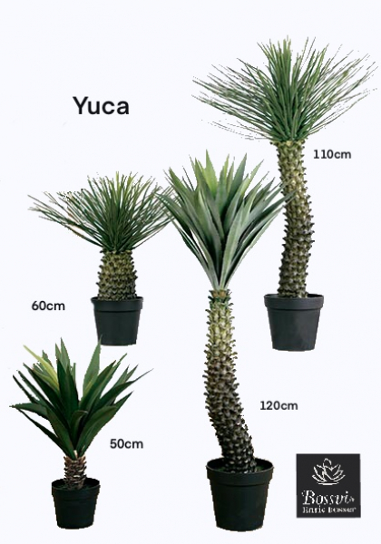 YUCCA x 52 h. 120 cm. Verde.