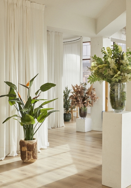 MACETA STRELITZIA. 133 cm.
