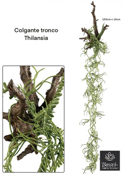 COLG. RAIZ-TILLANDSIA. Verde.
