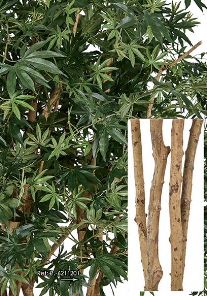 MACETA MAPLE x 2112h. 220 cm.