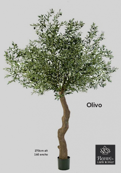 OLIVO x 10064 h, 180 frutos. 270 cm.