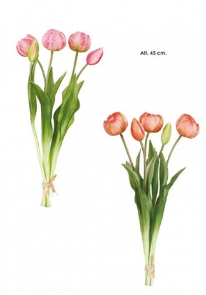 MANOJO ROUND TULIP x 5. 45 cm. Rosa Cl.