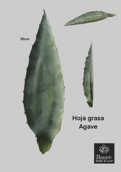 HOJA ALOE. 35 cm. Verde.