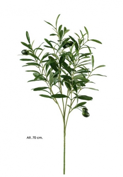 RAMA OLIVO Gr. 70 cm. Verde.