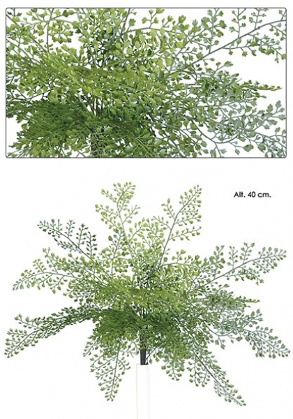 BUSH ADIANTUM. 40 cm. Verde.