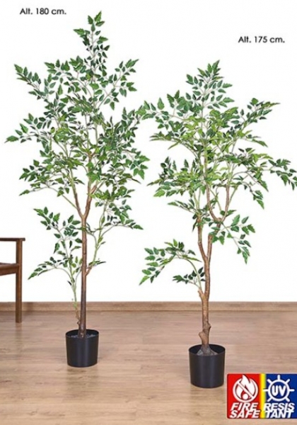 UV & FS MACETA NANDINA. 175 cm. Verde