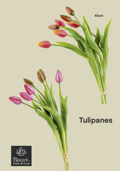 AGRUPACION TULIPANES. 45 cm. Fucsia.