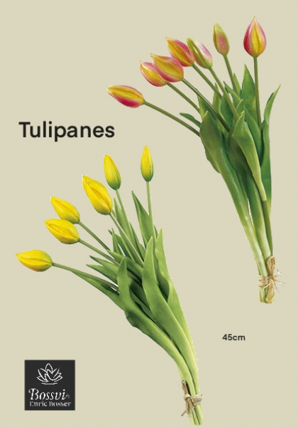 AGRUPACION TULIPANES. 45 cm. Naranja.