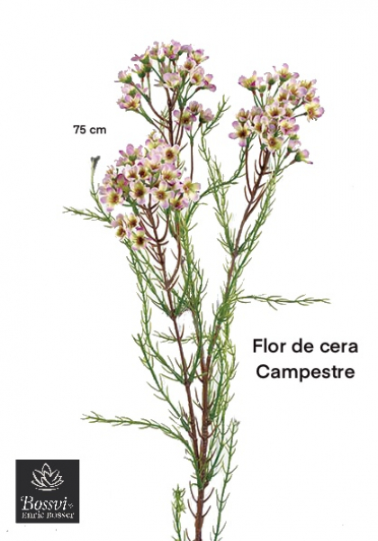 FLOR DE CERA x 96 fl. 78 cm. Cereza.