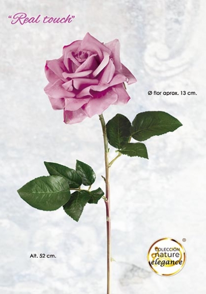 ROSA RT. 52 cm. Malva.