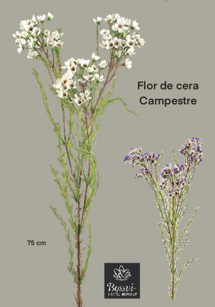 FLOR DE CERA x 96 fl. 78 cm. Té.