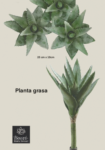 PICK ALOE. 25 cm. Verde.