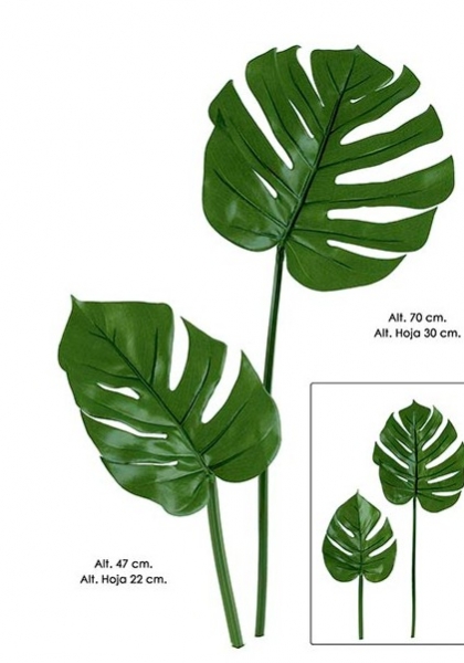 HOJA PHILO. 47 cm. (22 cm). Verde.