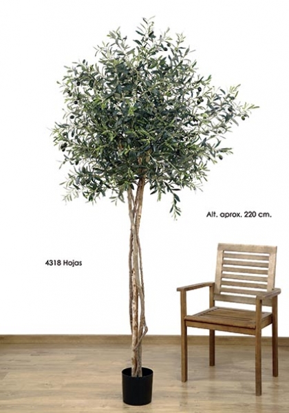 MACETA OLIVO x 4318h. 220 cm. Verde.