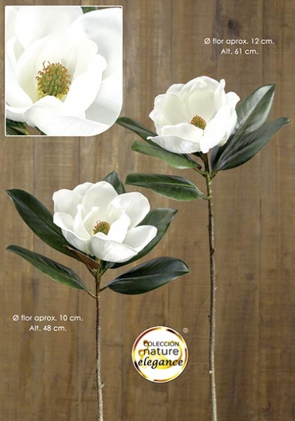 MAGNOLIA. 48 cm. Crema